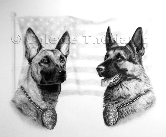 Drawing Of A Police Dog German Shepherd Police Dog Pet Portraits Art Art Pet Portraits