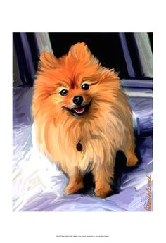 Drawing Of A Pomeranian Dog 192 Best Pomeranian Clipart Images Dogs Doggies German Spitz