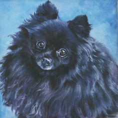 Drawing Of A Pomeranian Dog 84 Best Drawing Pomeranians Images Pomeranians Pomeranian