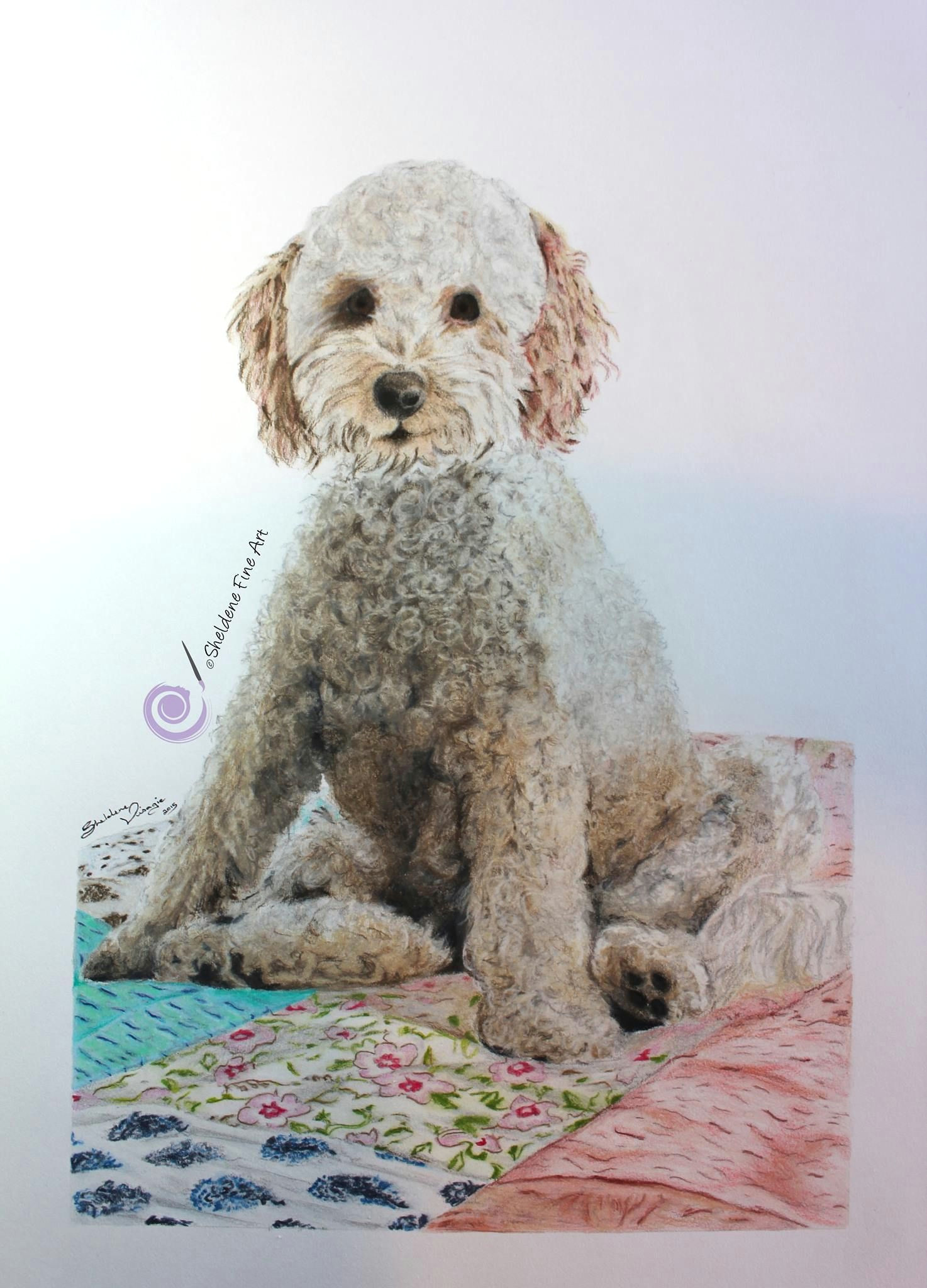Drawing Of A Poodle Dog Drawing Of Peanut the toy Poodle Art Drawings Draw Art