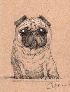Drawing Of A Pug Dog 224 Best Artsy Images In 2019 Pug Pug Dogs Pugs