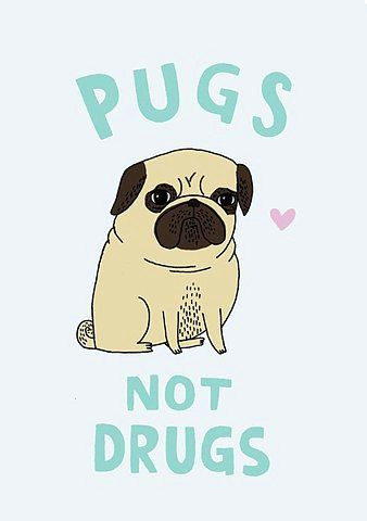 Drawing Of A Pug Dog Pugs Not Drugs Pugs Pinterest Pugs Dogs and Pug Love