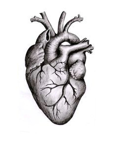 Drawing Of A Real Heart Easy Related Image Designing My Tattoo In 2019 Art Drawings Tattoos