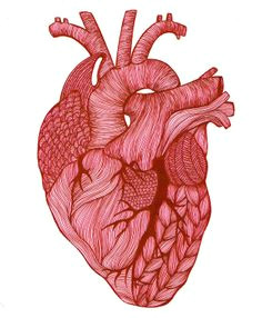 Drawing Of A Real Life Heart 1875 Best Human Heart Images In 2019 Feminist Art Embroidery