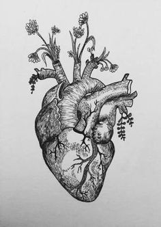 Drawing Of A Real Life Heart Pin by Rachel Waters On Ink Tattoos Tattoo Designs Body Art