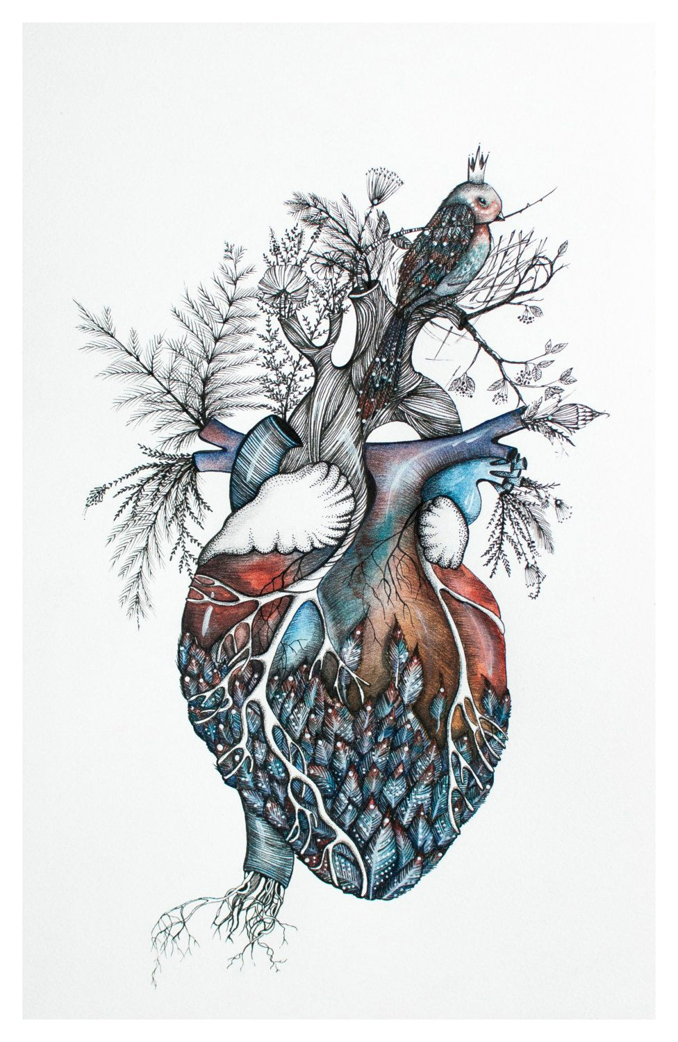 Drawing Of A Real Life Heart Watercolor Giclee Print original Painting by nora Heart