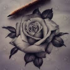 Drawing Of A Real Rose 41 Best Black and White Roses Images Pencil Drawings Paintings