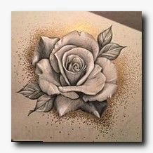 Drawing Of A Real Rose How to Draw A Realistic Rose In Pencil Drawings Drawings Art