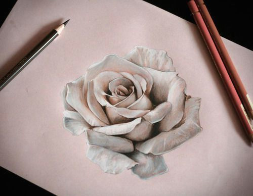 Drawing Of A Real Rose How to Draw A Realistic Rose In Pencil Drawings Drawings Art