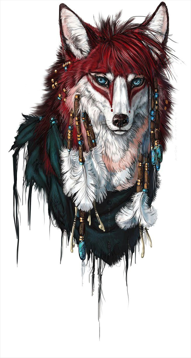 Drawing Of A Red Wolf Serine by Tatchit On Deviantart D N N N D D D D Dµ Wolves and Wolf Dogs