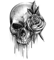 Drawing Of A Rose and Skull 40 Best Skulls and Roses Images Skull Art Skull Tattoos Skulls