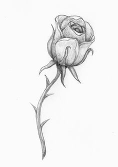 Drawing Of A Rose Beauty and the Beast 14 Best Beauty and the Beast Rose Tattoo Images Beauty the Beast