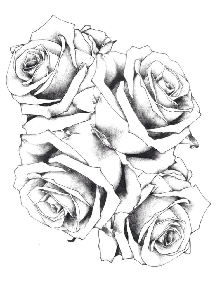 Drawing Of A Rose Black and White Best 21 Black and White Flower Drawing Fabio Bortolani
