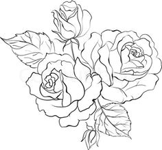 Drawing Of A Rose Bouquet 31 Best Flower Bouquet Tattoo Outlines Images Flower Designs