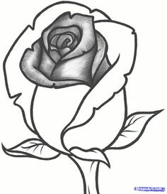 Drawing Of A Rose Bud 136 Best Rose Drawings Images Painting Drawing Painting On