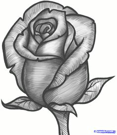 Drawing Of A Rose Bud 163 Best How to Draw Rose Images Drawings Drawing Flowers How to