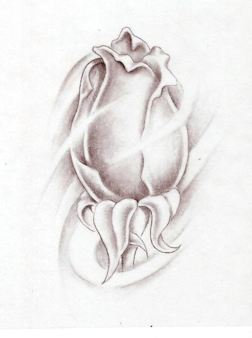 Drawing Of A Rose Bud Rose Bud Tattoo Tattoos Rose Bud Tattoo Tattoos Rose Tattoos
