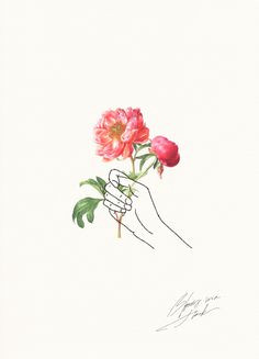 Drawing Of A Rose In A Hand Holding Flowers Design Pinterest Drawings Art and Illustration