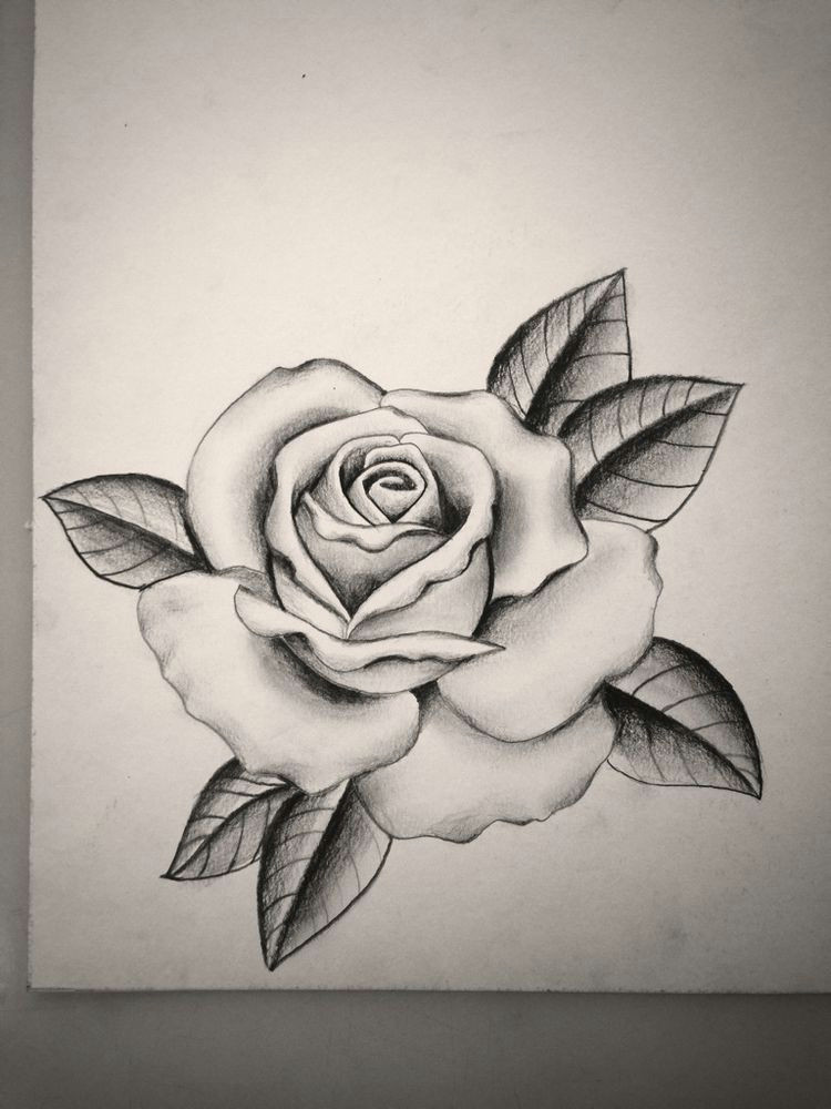 Drawing Of A Rose In A Hand Pin by Sydney Mayes On Tattoo Pinterest Tattoos Rose Tattoos