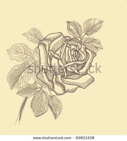 Drawing Of A Rose In A Hand Stock Vector Hand Drawing Rose Card Vector Version Eps 10