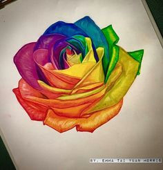 Drawing Of A Rose In Colour Rose Color Pencil Drawing by Gaby Sabbagh Rainbows Pencil