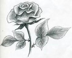 Drawing Of A Rose In Pencil 51 Best Flowers Images Watercolor Painting Flower Designs Pencil