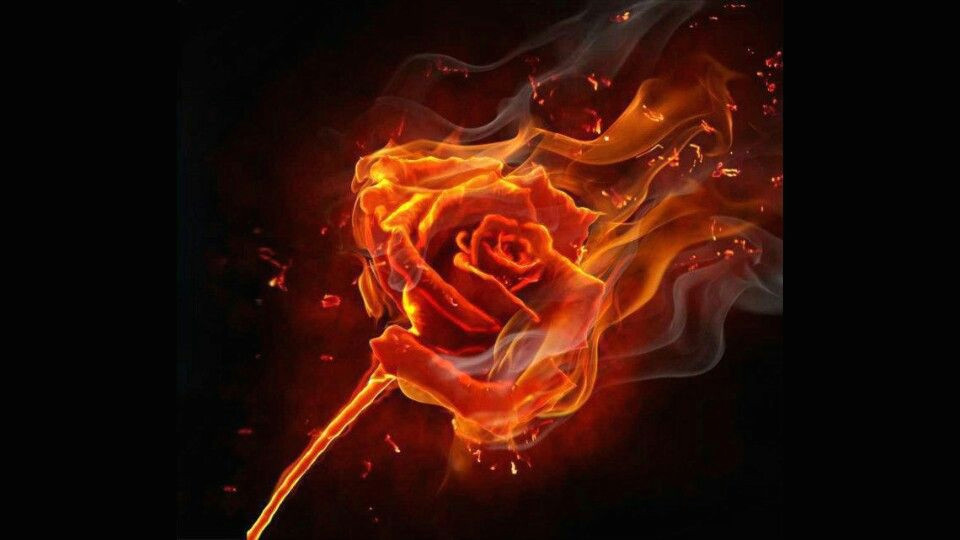 Drawing Of A Rose On Fire Flaming Rose Stuff to Airbrush In 2019 Fire Fire Art Burning Rose