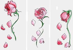 Drawing Of A Rose Petal 45 Best Rose Petals Tattoo Images Pink Petals Rose Flowers Rose