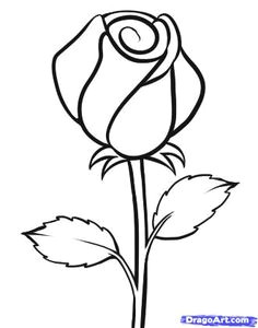 Drawing Of A Rose Plant 140 Best Flower Drawings Images Doodles Flower Designs Doodle Art