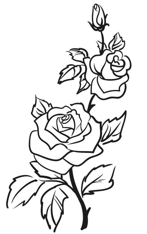 Drawing Of A Rose Stem Pin Od Magda K Na Szablony Drawings Outline Drawings I Stencils