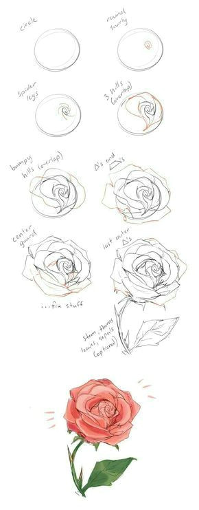 Drawing Of A Rose Step by Step Pin Von Silvia Janssen Auf Zeichnen In 2018 Pinterest Drawings