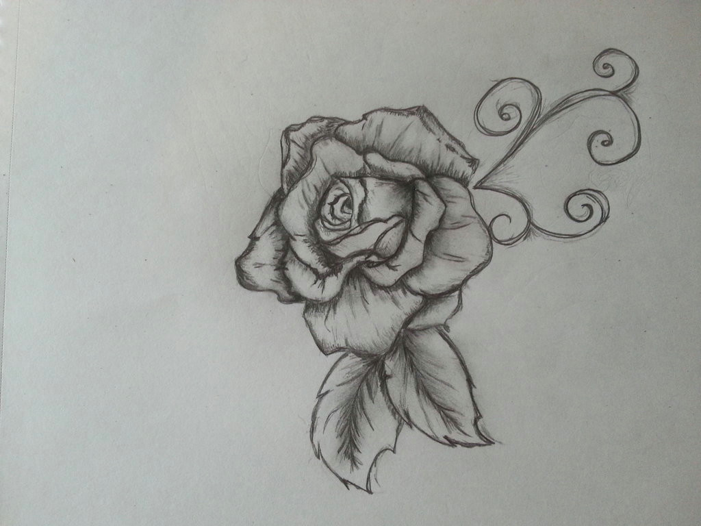Drawing Of A Rose Tumblr Knumathise Rose Drawing Images