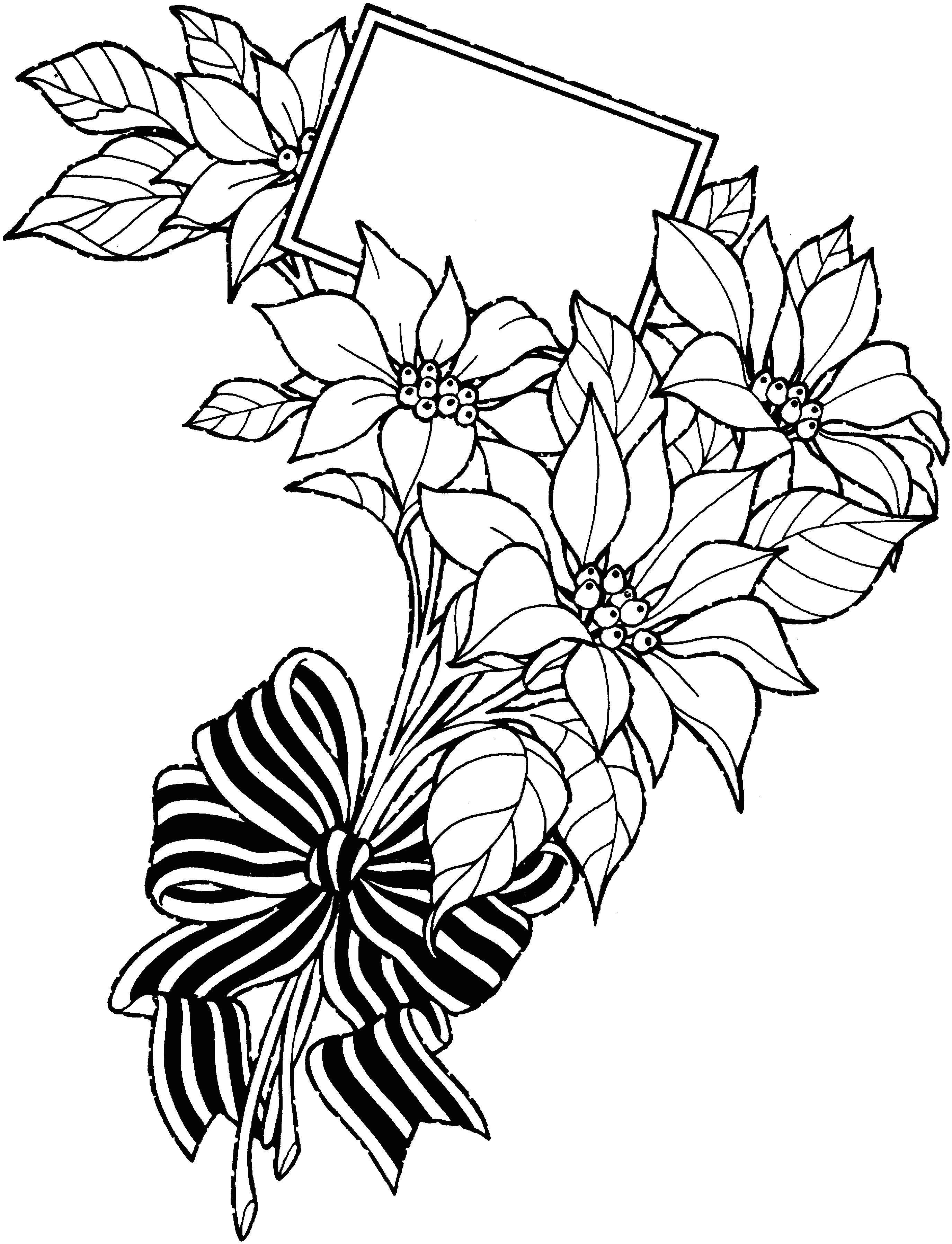 Drawing Of A Rose Vase Rose Drawing Fresh 20 Awesome White Rose Flowers Black Ezba