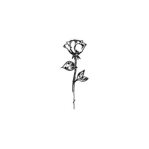 Drawing Of A Rose with Stem Imagen De Rose Art and Flowers Tats Pinterest Tattoos Rose