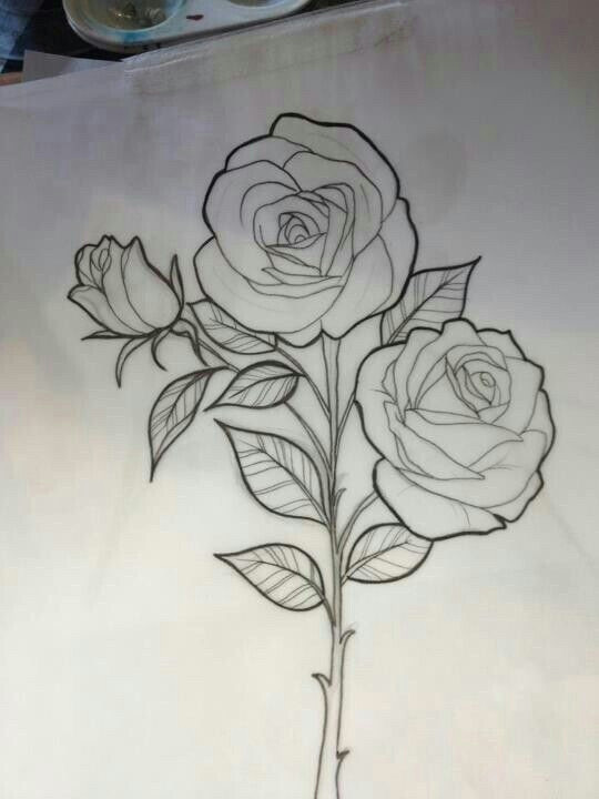 Drawing Of A Rose with Stem Pin by Miguelita Moore On Rose Drawings Rose Sketch Rose Drawing