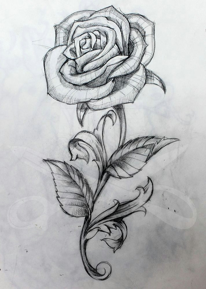 Drawing Of A Rose with Stem Rose and Stem Tattoo Art Tattoos Tattoo Drawings Rose Tattoos