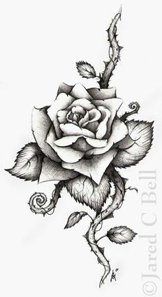 Drawing Of A Rose with Thorns 96 Best Roses Images Body Art Tattoos Design Tattoos Ink