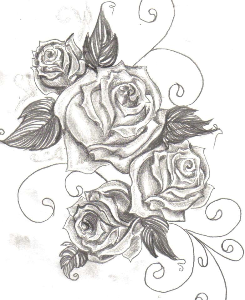 Drawing Of A Rose with Thorns Pin by Annalisa Rendon On Tattoo Ideas Rose Tattoos Tattoos