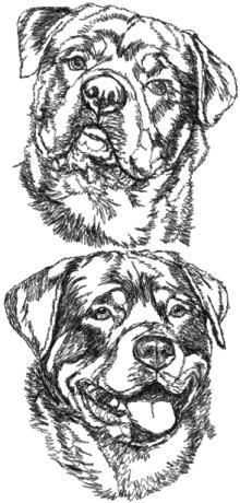 Drawing Of A Rottweiler Dog Rottweiler Se Rottweiler Set Rottweiler Pinterest Embroidery