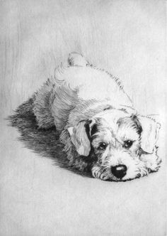 Drawing Of A Sad Dog 71 Best Drawings Of Dogs Images In 2019 Drawings Of Dogs Animal
