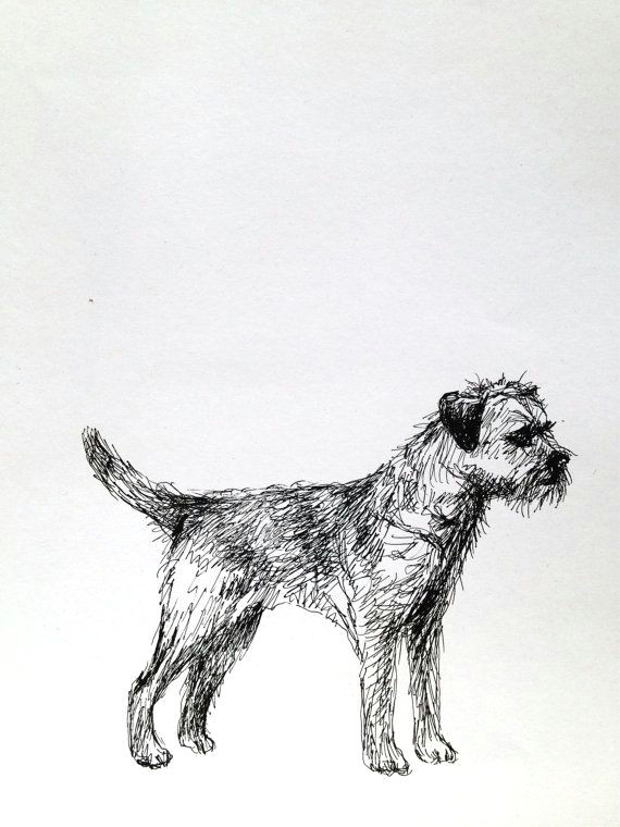 Drawing Of A Sad Dog Border Terrier Dog Sketch Ink On Paper Everything Dogs Border