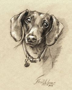 Drawing Of A Sausage Dog 1660 Best Doxies Images In 2019 Sausages Dachshund Dog Weenie Dogs