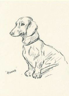 Drawing Of A Sausage Dog 2835 Best Dachshund 15 Images Weenie Dogs Dachshund Dog Daschund