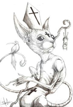 Drawing Of A Scary Cat Cat Holisism by Shawncoss Shawn Coss Art Pinterest Sketches