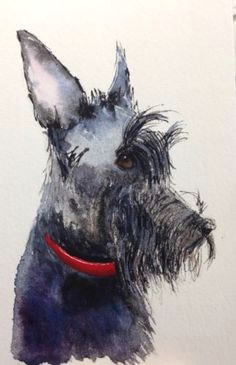 Drawing Of A Scottie Dog 96 Best Archie the Scottie Images Scottish Terrier Scottie Dogs