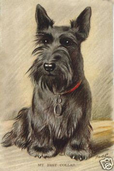 Drawing Of A Scottie Dog 983 Best Scottish Terriers Images Scottish Terriers Scottie Banks