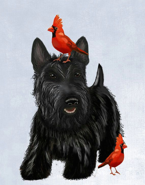 Drawing Of A Scottie Dog Scottie Dog Red Birds Scottish Terrier Art Print Picture Painting