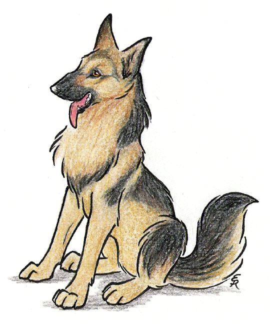Drawing Of A Shepherd Dog Happy German Shepherd by Wildspiritwolf On Deviantart Art