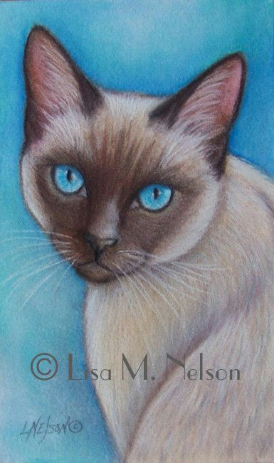 Drawing Of A Siamese Cat original Siamese Cat Art Colored Pencil by Artbylisamnelson Art