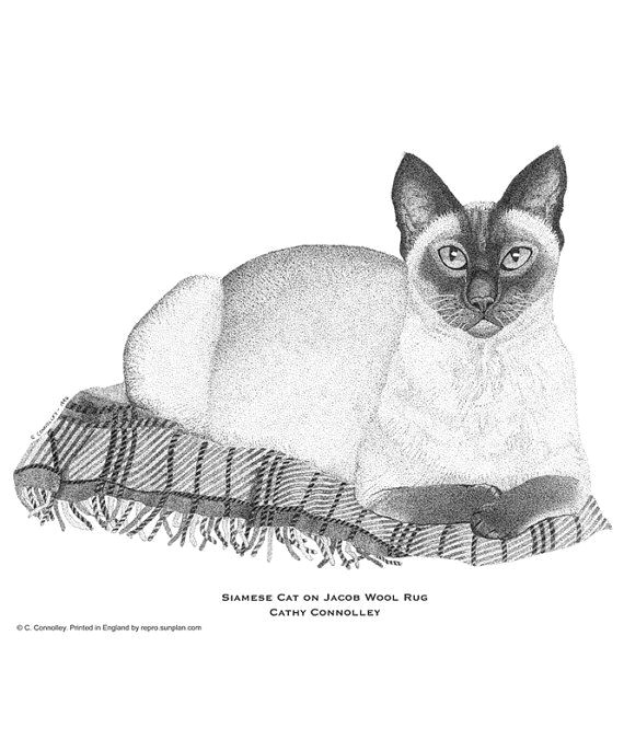 Drawing Of A Siamese Cat Pen and Ink Pointillism Illustration Print Drawing Realistic Art
